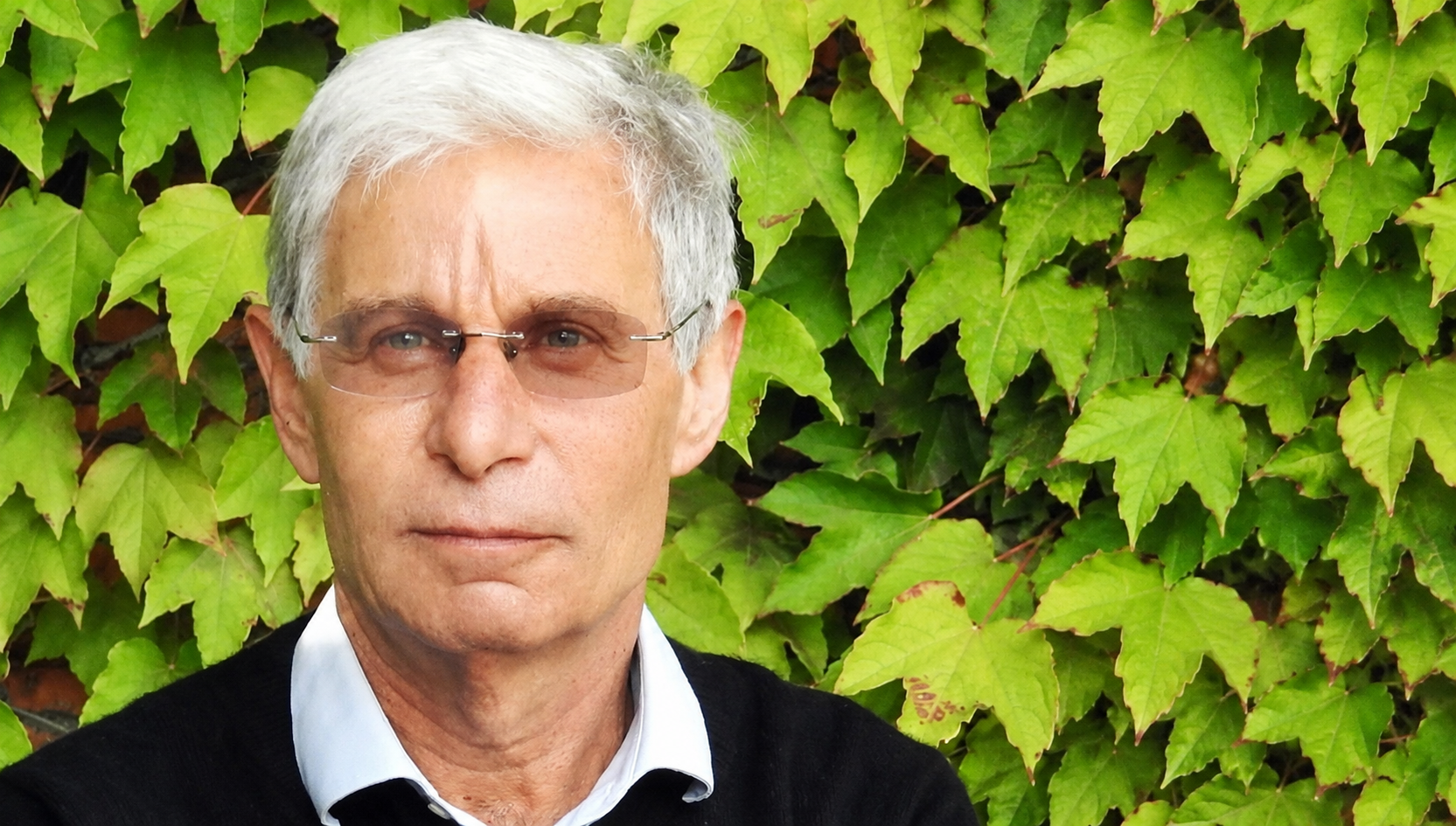 tullio jappelli