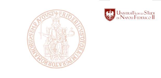 logo Federico II