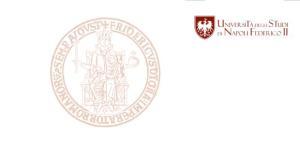logo Ateneo Federico II 