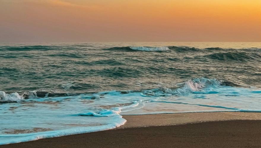 mare
