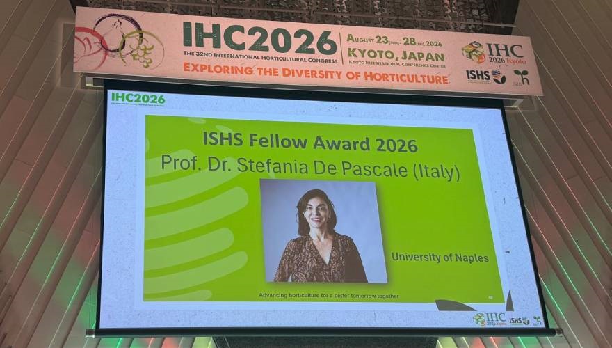 foto sullo schermo della de pascale durante la premiazione