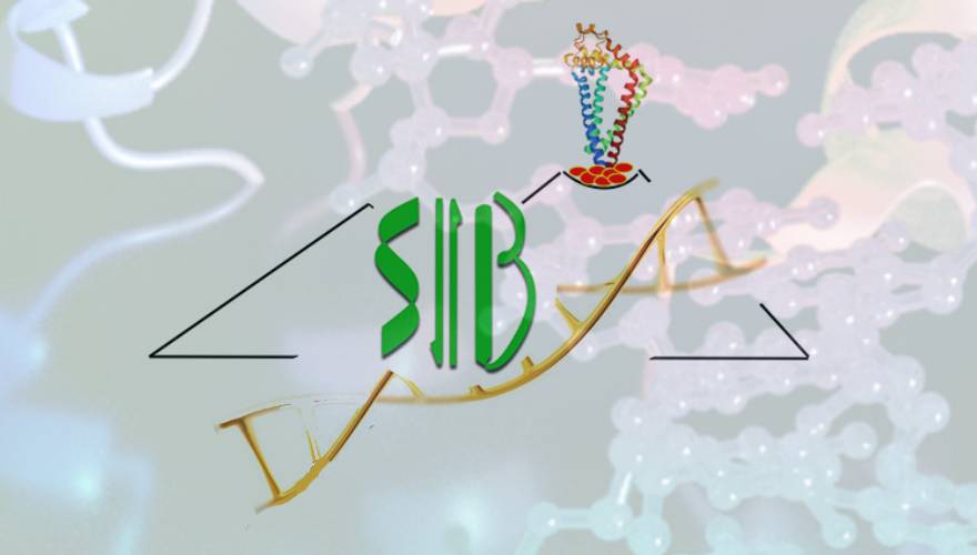 logo sib