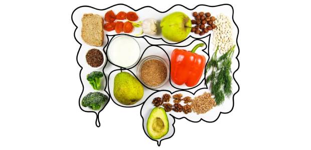 Sviluppato il più grande database di genomi microbici da alimenti
